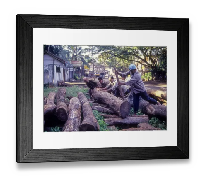 Framed Print : Men shifting wooden log for sawing at Kozhikode Calicut Framed Print : Men shifting wooden log for sawing at Kozhikode Calicut