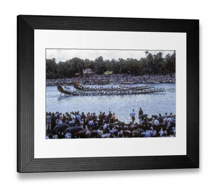 Framed Print : Aranmula Vallamkali festival, Snake Boat Race Framed Print : Aranmula Vallamkali festival, Snake Boat Race