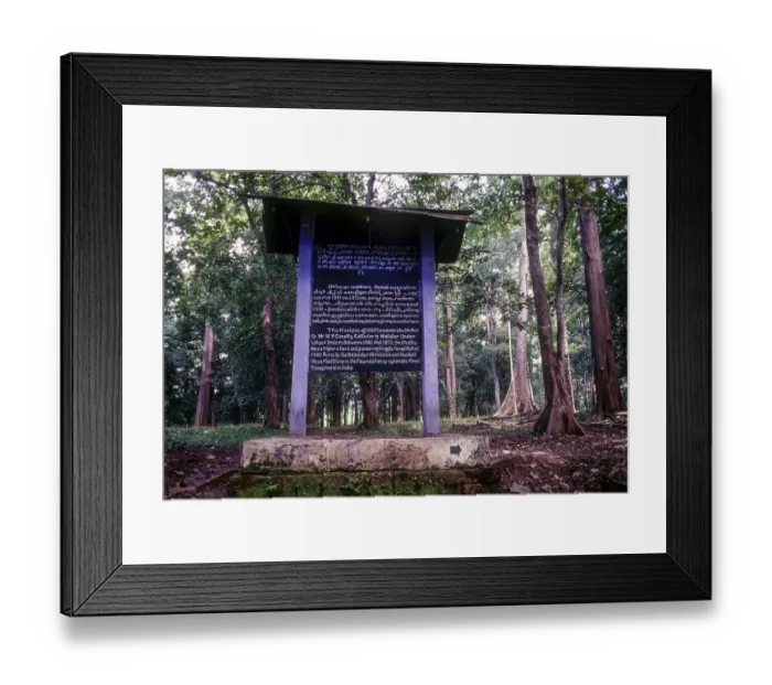 Framed Print : The Conolly's plot, Nilambur Framed Print : The Conolly's plot, Nilambur