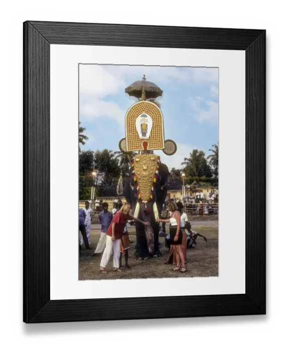 Framed Print : Tourists enjoying to touch the elephant