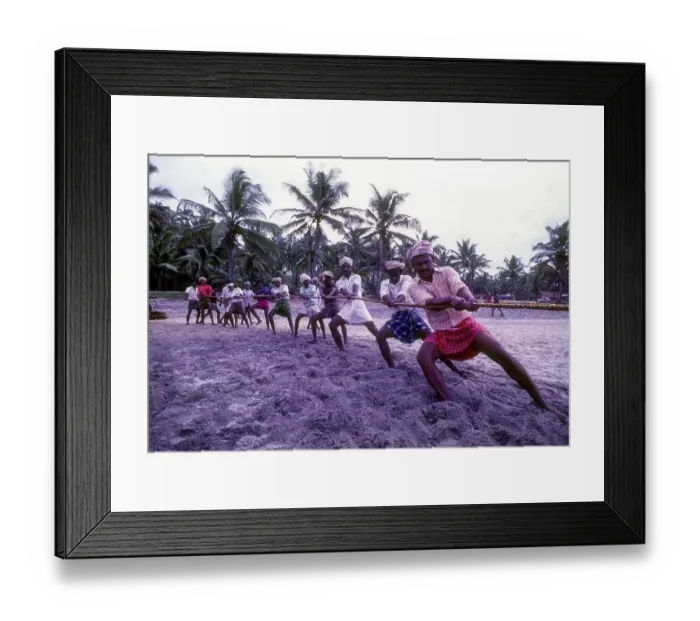 Framed Print : Fishermen pulling the fishing net Framed Print : Fishermen pulling the fishing net