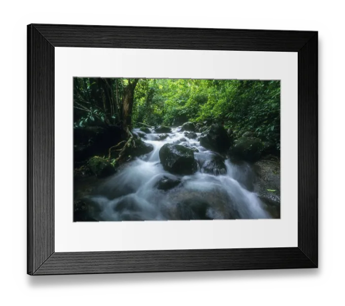 Framed Print : Mountain Spring in Western Ghats Framed Print : Mountain Spring in Western Ghats