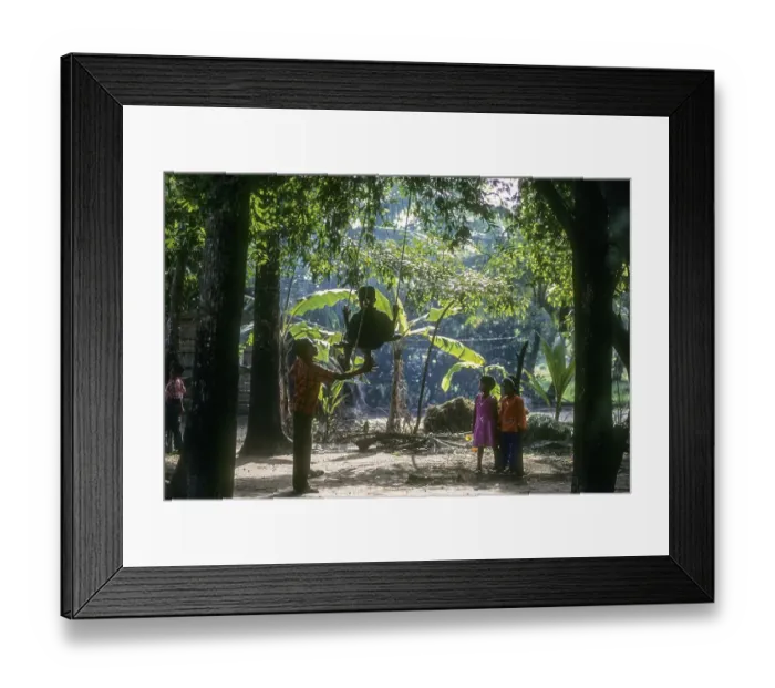 Framed Print : Children playing swing in Kuttanad Framed Print : Children playing swing in Kuttanad