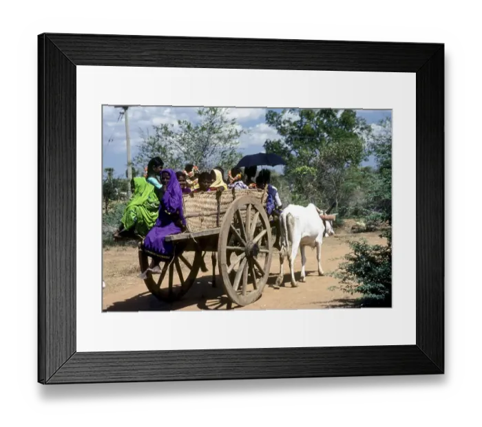 Framed Print : A journey in a bullock cart by villagers