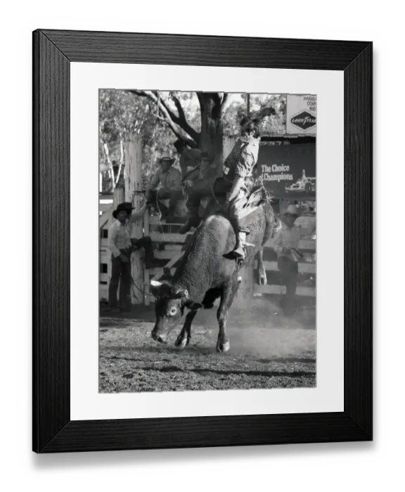 Framed Print : PROSTON, AUSTRALIA, CIRCA 1980: Unidentified contestant rides a bull during a small town rodeo Framed Print : PROSTON, AUSTRALIA, CIRCA 1980: Unidentified contestant rides a bull during a small town rodeo
