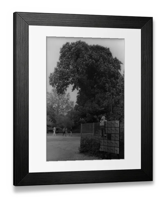 Framed Print : GDR, Berlin, 21. 05. 1987, climbing wall in Monbijoupark