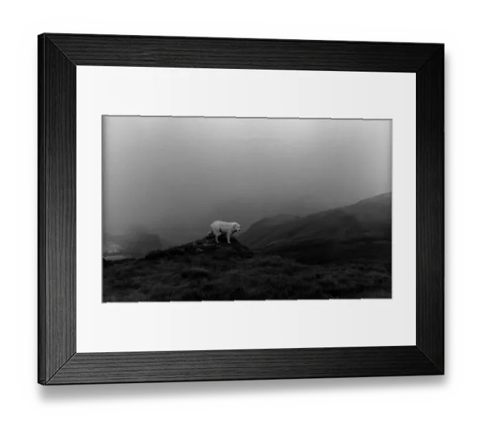 Framed Print : Romania, Rodna Mountains, 03. 09 Framed Print : Romania, Rodna Mountains, 03. 09