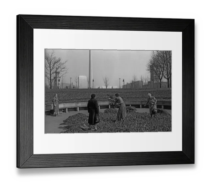 Framed Print : Germany, Berlin, 14. 03. 1991, flowerbed at the Marx-Engels-Forum Framed Print : Germany, Berlin, 14. 03. 1991, flowerbed at the Marx-Engels-Forum