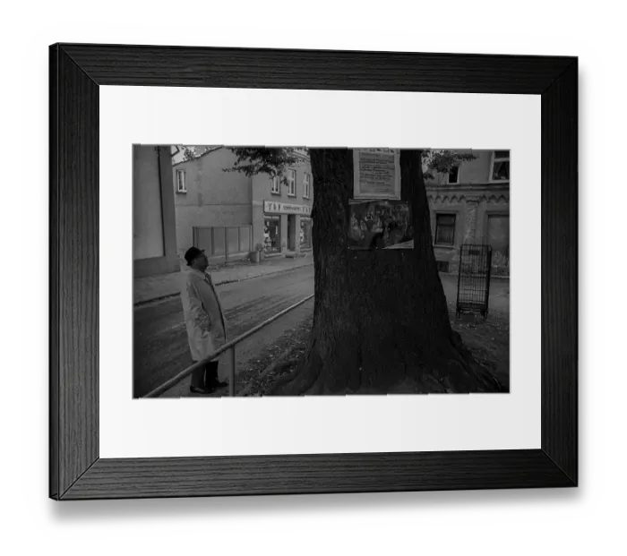 Framed Print : GDR, Feldberg, 15.09.1989, Man and big tree in Feldberg