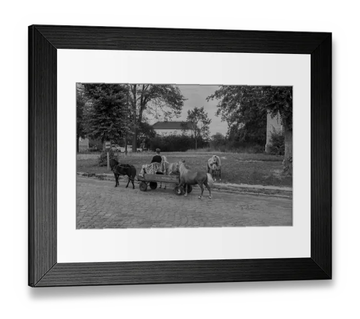 Framed Print : GDR, Berlin, 1.9.1989, car with ponies