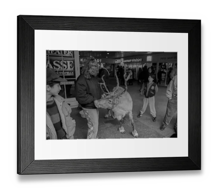 Framed Print : West Berlin, 4.2.1990, reindeer Framed Print : West Berlin, 4.2.1990, reindeer