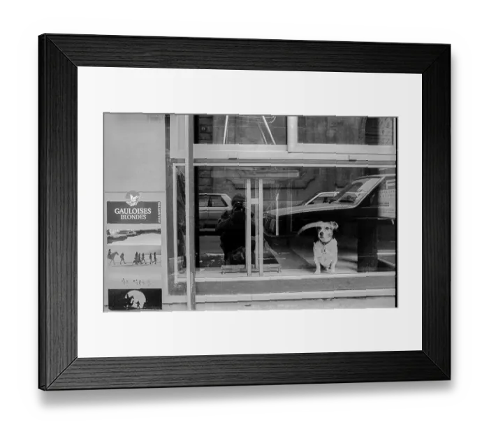 Framed Print : France, Paris, 24.03.1990, Shop window with dog