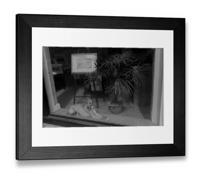 Framed Print : France, Paris, 24.03.1990, dog in shop window Framed Print : France, Paris, 24.03.1990, dog in shop window
