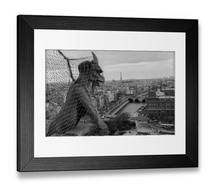 Framed Print : France, Paris, 24.03.1990, mythical creatures on the towers of Notre-Dame