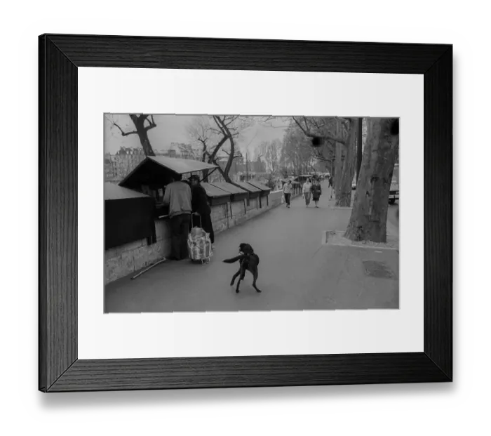 Framed Print : France, Paris, 24.03.1990, bookstalls on the banks of the Seine