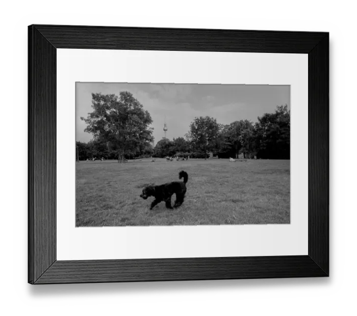 Framed Print : Germany, Berlin, 18.06.1991, Monbijou Park Framed Print : Germany, Berlin, 18.06.1991, Monbijou Park