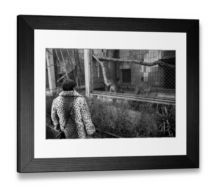 Framed Print : Germany, Berlin, 03.01.1991, Tierpark Friedrichsfelde