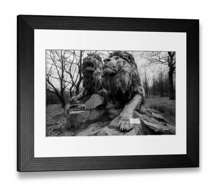 Framed Print : Germany, Berlin, 03.01.1991, Tierpark Friedrichsfelde