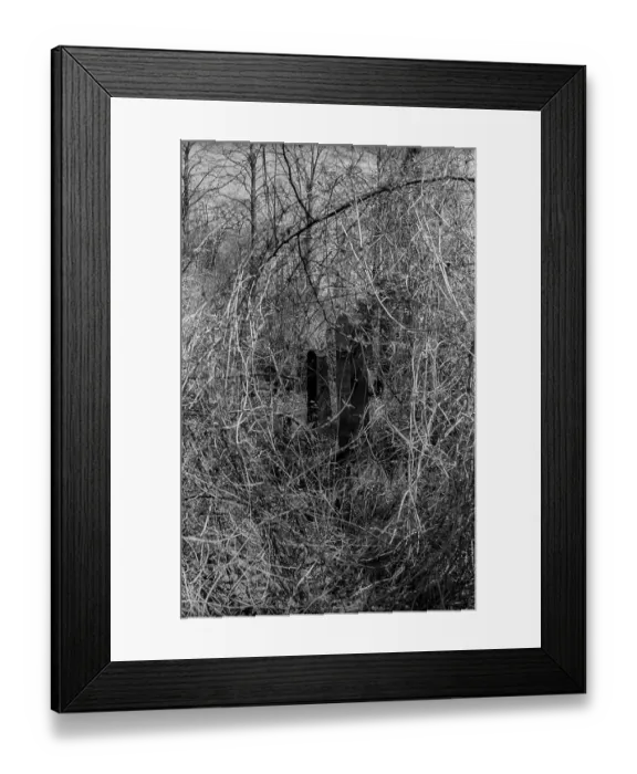 Framed Print : GDR, Berlin, 27.04.1987, Jewish cemetery Weissensee