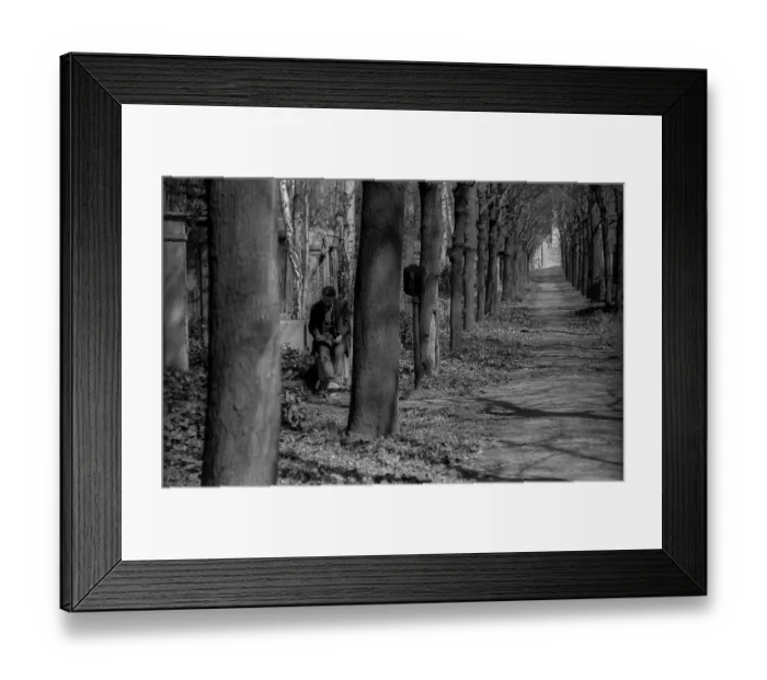 Framed Print : GDR, Berlin, 27.04.1987, Jewish cemetery Weissensee