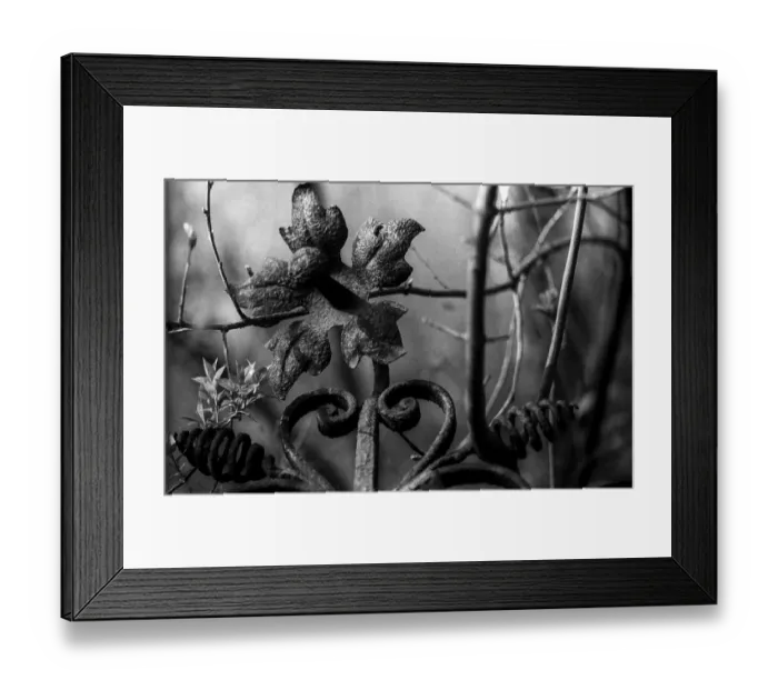 Framed Print : GDR, Berlin, 27.04.1987, Jewish cemetery Weissensee Framed Print : GDR, Berlin, 27.04.1987, Jewish cemetery Weissensee