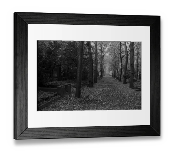 Framed Print : GDR, Berlin, 25.10.1987, Jewish cemetery Weissensee Framed Print : GDR, Berlin, 25.10.1987, Jewish cemetery Weissensee