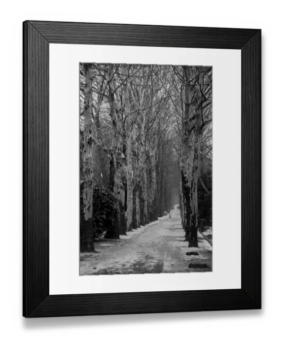 Framed Print : GDR, Berlin, 09.02.1987, Jewish cemetery Weissensee Framed Print : GDR, Berlin, 09.02.1987, Jewish cemetery Weissensee