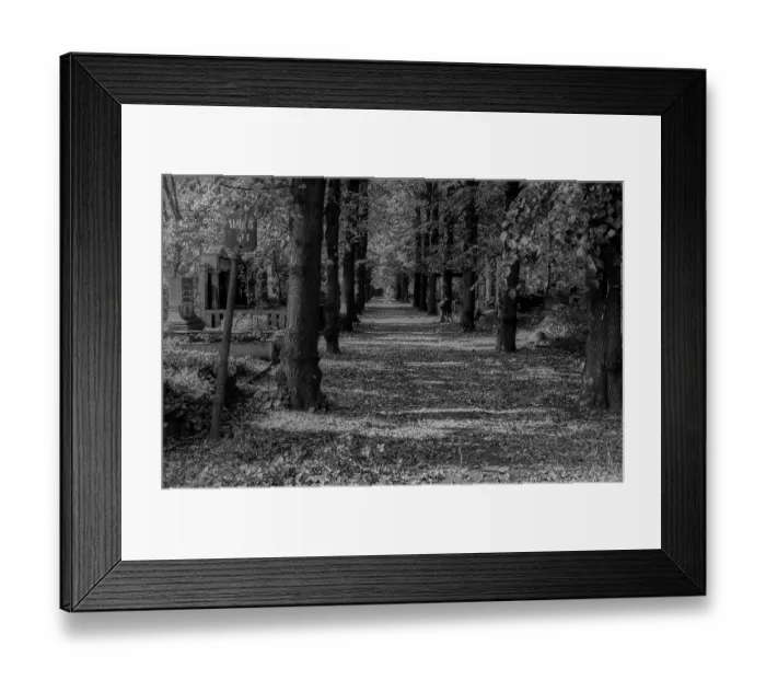 Framed Print : GDR, Berlin, 04.10.1987, Jewish cemetery Weissensee