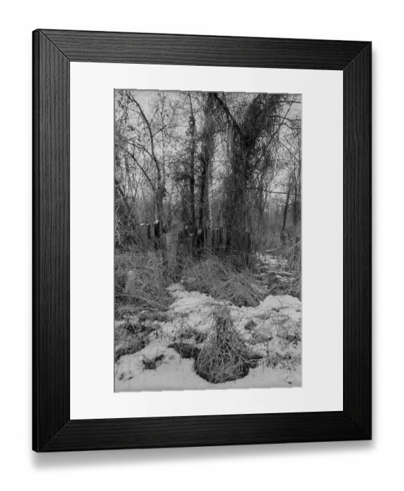 Framed Print : GDR, Berlin, 09.02.1987, Jewish cemetery Weissensee