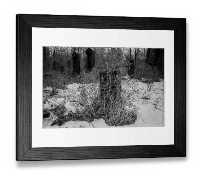 Framed Print : GDR, Berlin, 09.02.1987, Jewish cemetery Weissensee