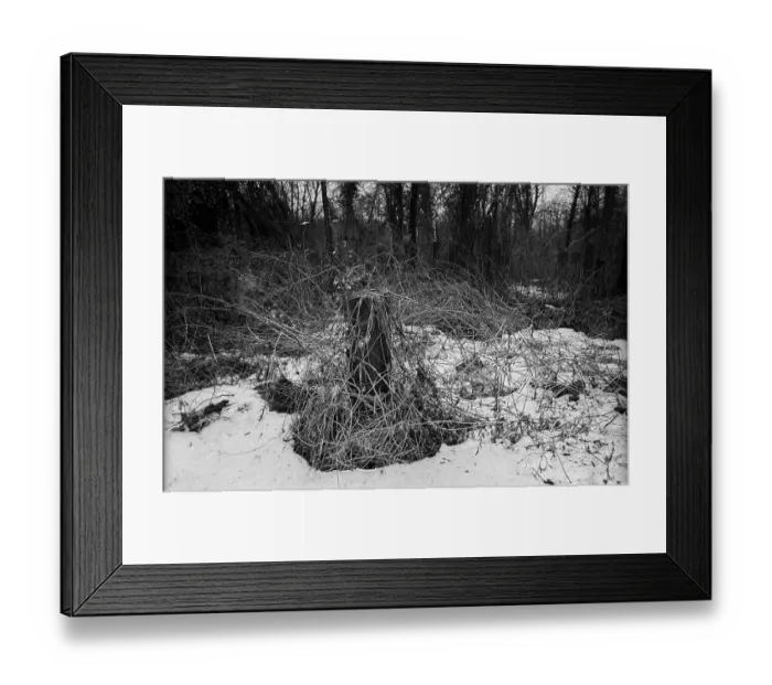 Framed Print : GDR, Berlin, 09.02.1987, Jewish cemetery Weissensee