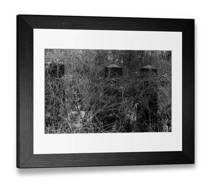 Framed Print : GDR, Berlin, 09.02.1987, Jewish cemetery Weissensee Framed Print : GDR, Berlin, 09.02.1987, Jewish cemetery Weissensee