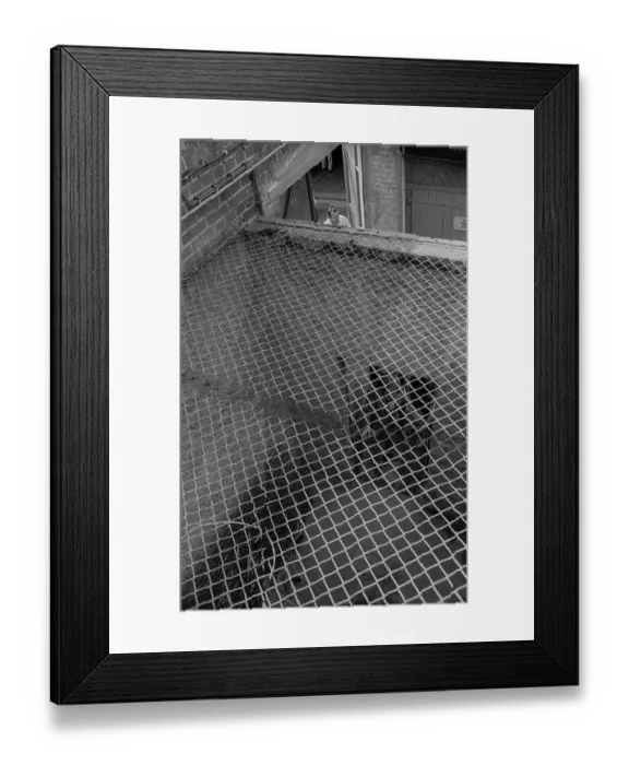 Framed Print : GDR, Potsdam, 13.05.1990, Linden Hotel Framed Print : GDR, Potsdam, 13.05.1990, Linden Hotel