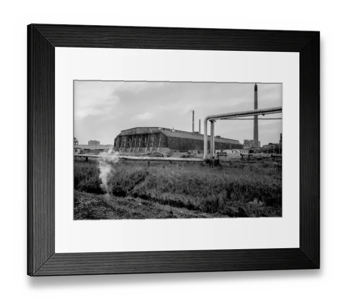 Framed Print : Germany, Greppin, 31 March 1992