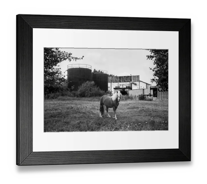 Framed Print : Germany, Trinwillershagen, 16.9