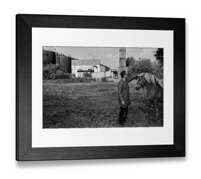 Framed Print : Germany, Trinwillershagen, 16.9