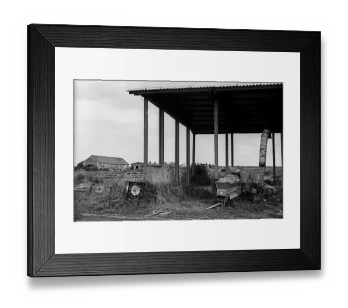 Framed Print : Germany, Trinwillershagen, 16.9