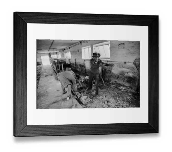 Framed Print : Germany, Trinwillershagen, 16 September 1991
