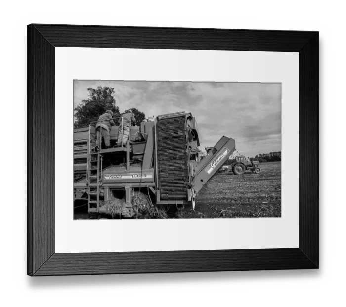 Framed Print : Germany, Trinwillershagen, 16.9