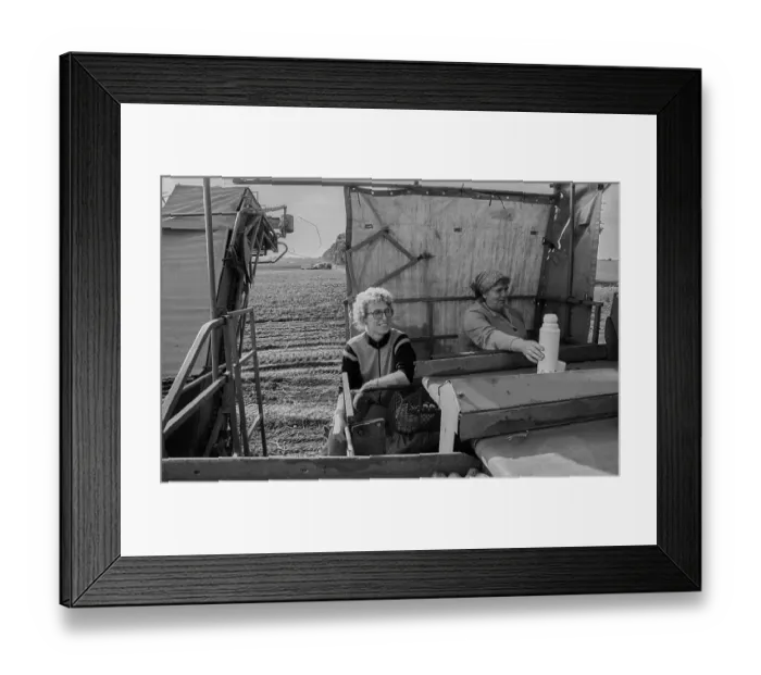 Framed Print : Germany, Trinwillershagen, 16.9 Framed Print : Germany, Trinwillershagen, 16.9