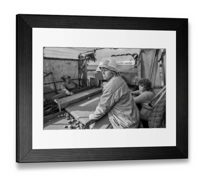 Framed Print : Germany, Trinwillershagen, 16.9