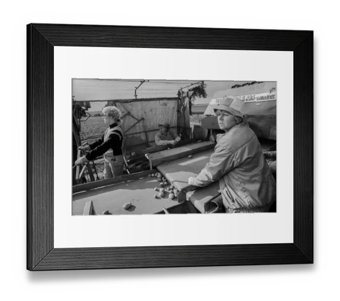 Framed Print : Germany, Trinwillershagen, 16.9