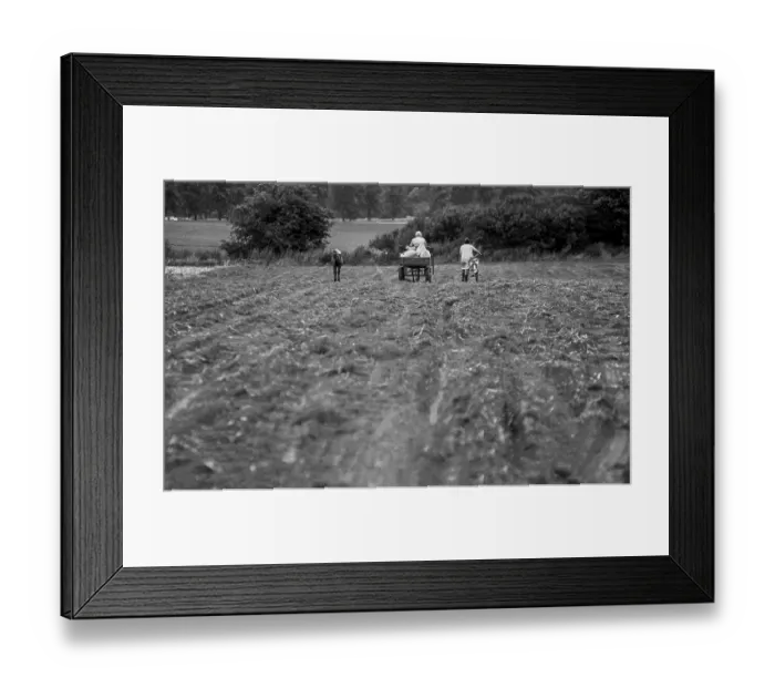 Framed Print : Germany, Trinwillershagen, 16.9