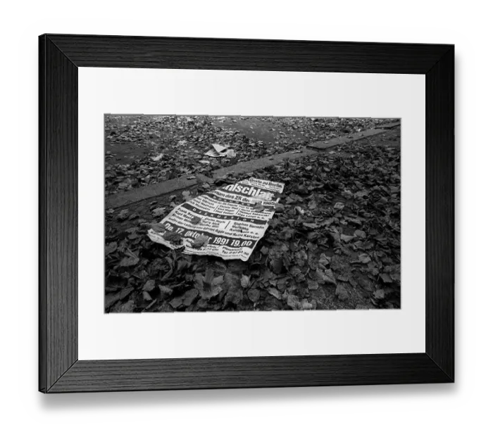 Framed Print : Germany, Berlin, 19 October 1991