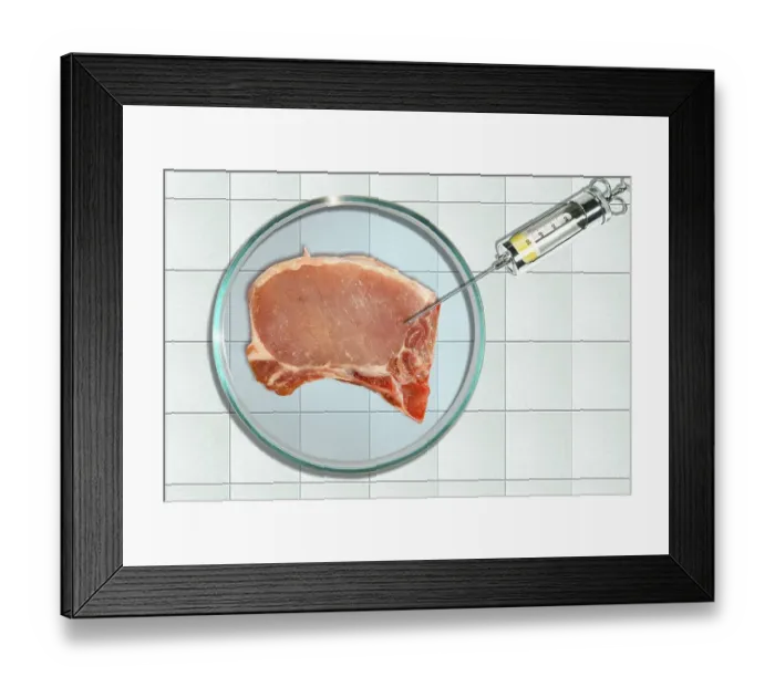 Framed Print : Rotten meat in a petri dish