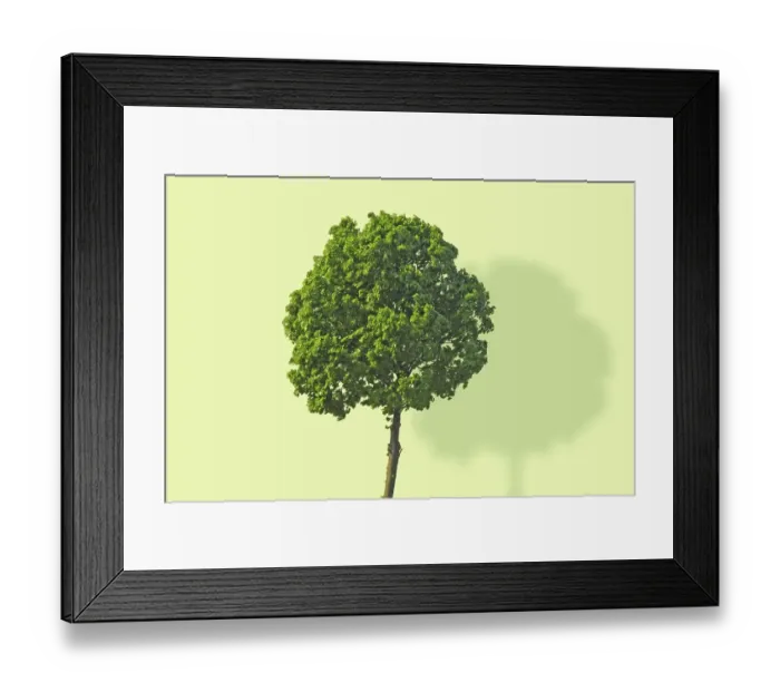 Framed Print : Tree full of sap in front of a yellow wall