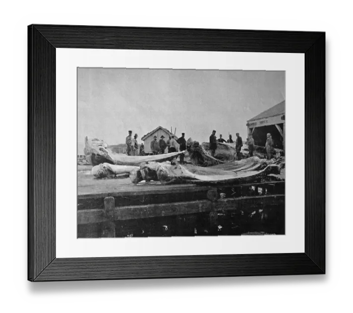 Framed Print : One of the first autotype prints