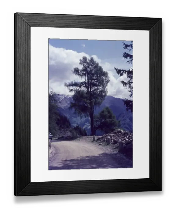 Framed Print : Penserjochstrasse direction Sterzing Framed Print : Penserjochstrasse direction Sterzing