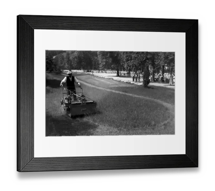 Framed Print : Man mowing lawn, historic picture from about 1920