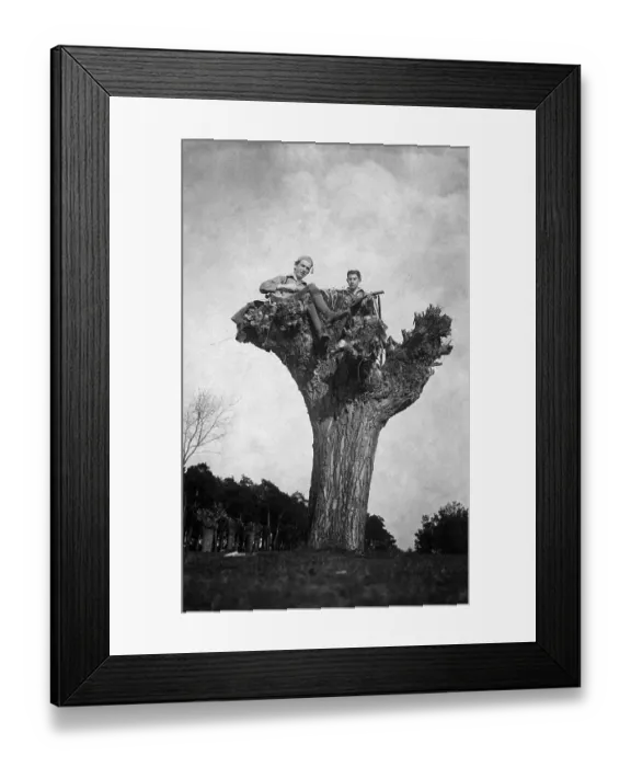 Framed Print : Historic photo, two musicians sitting in a willow